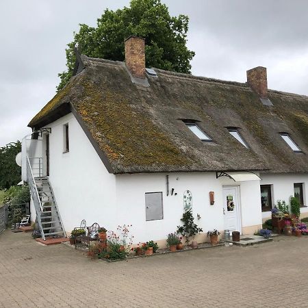 Ferienwohnung Landhaus Zurow Exteriér fotografie