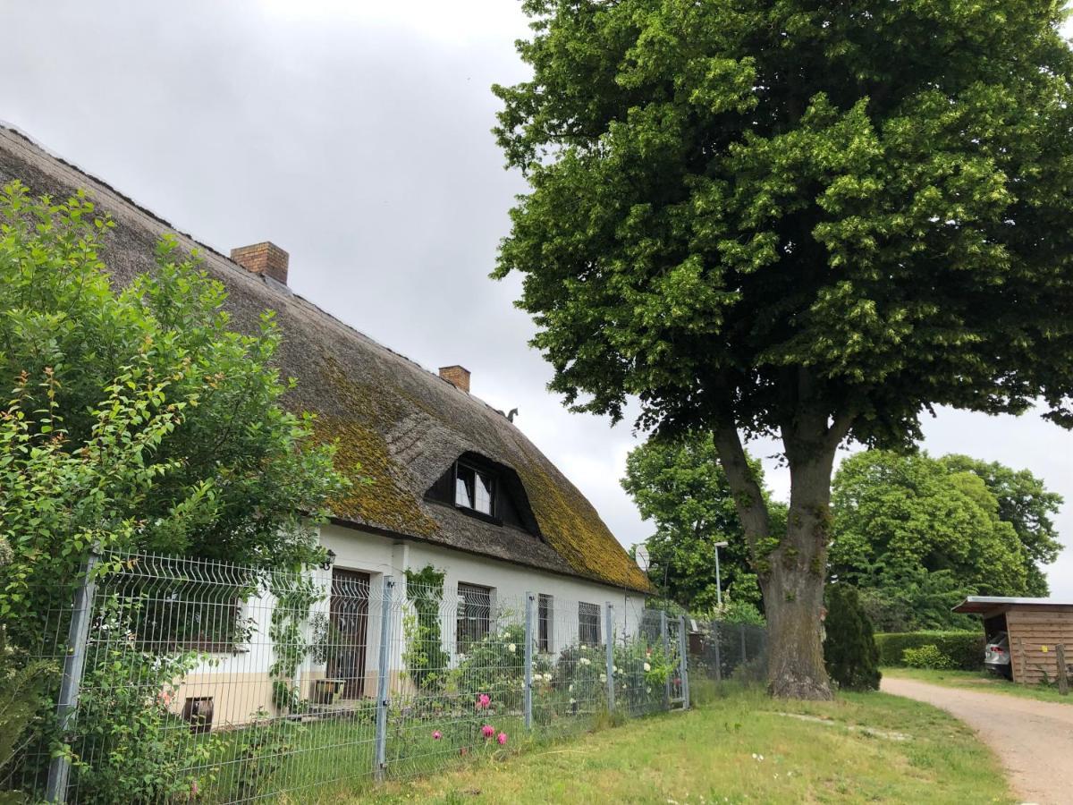 Ferienwohnung Landhaus Zurow Exteriér fotografie